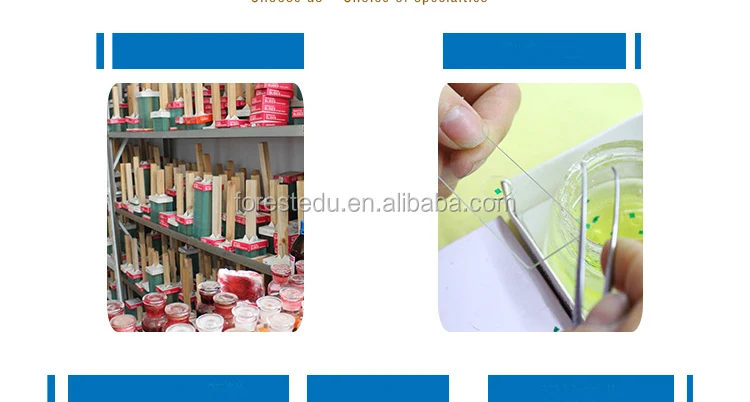 4 microscope slides 7101.jpg