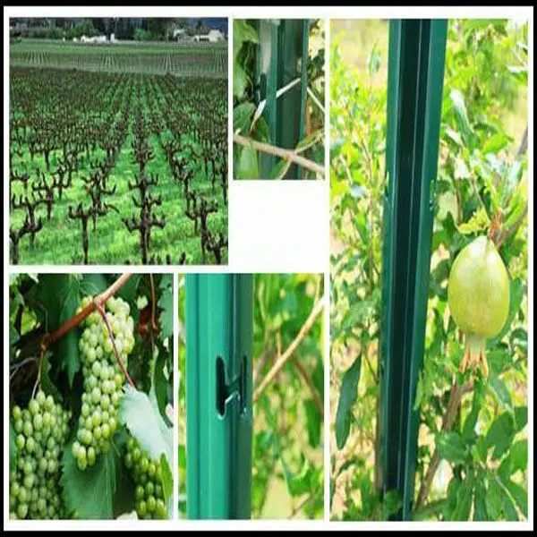 Metal Fencing Stakes, Metal Fencing Stakes Suppliers and ...