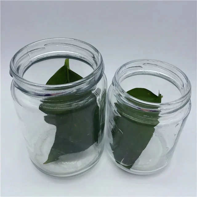 240ml 350ml Plant Tissue Culture Glass Bottle/jar With Plastic Lid
