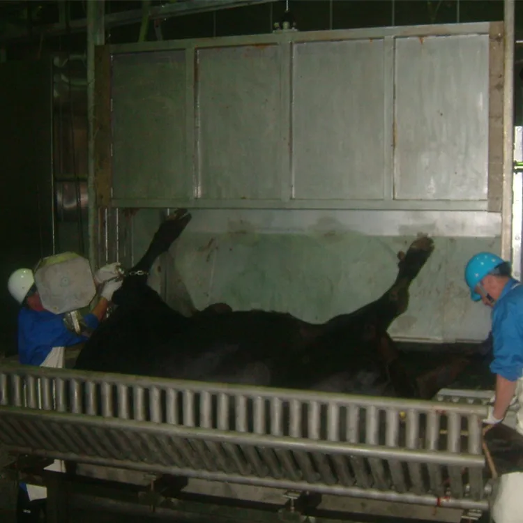 Islamic buffalo meat cutting machine for cattle slaughtering slaughterhouse