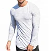 2018 wholesale high quality plain long sleeve tshirt gym clothing