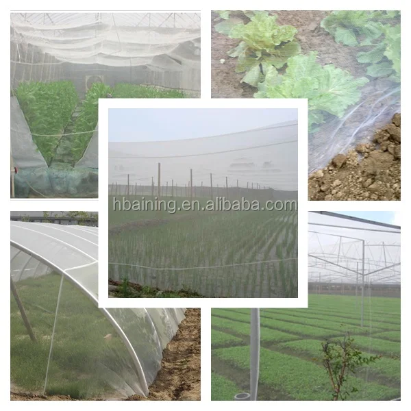 Greenhouse Texture Insect Net/polyester Greenhouse Insect Net| Alibaba.com