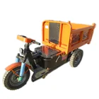 China Supplier safe and popular self balancing smart cargo tricycle electric motorcycle