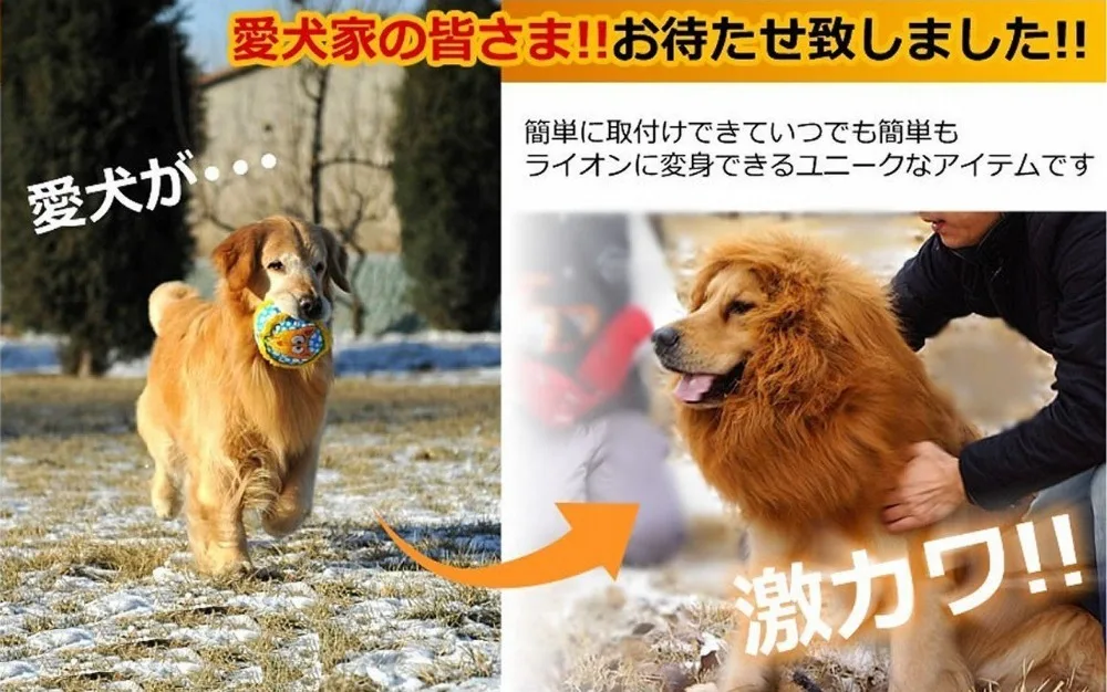 ライオンたてがみ衣装とビッグ犬ライオンたてがみウィッグ 大型犬衣装 Buy 成犬衣装 Product On Alibaba Com