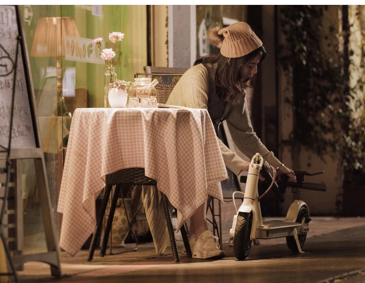 electric-scooter
