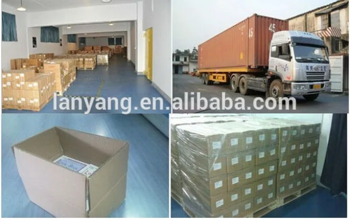 paste-pic-dp_uuid_vnh7w