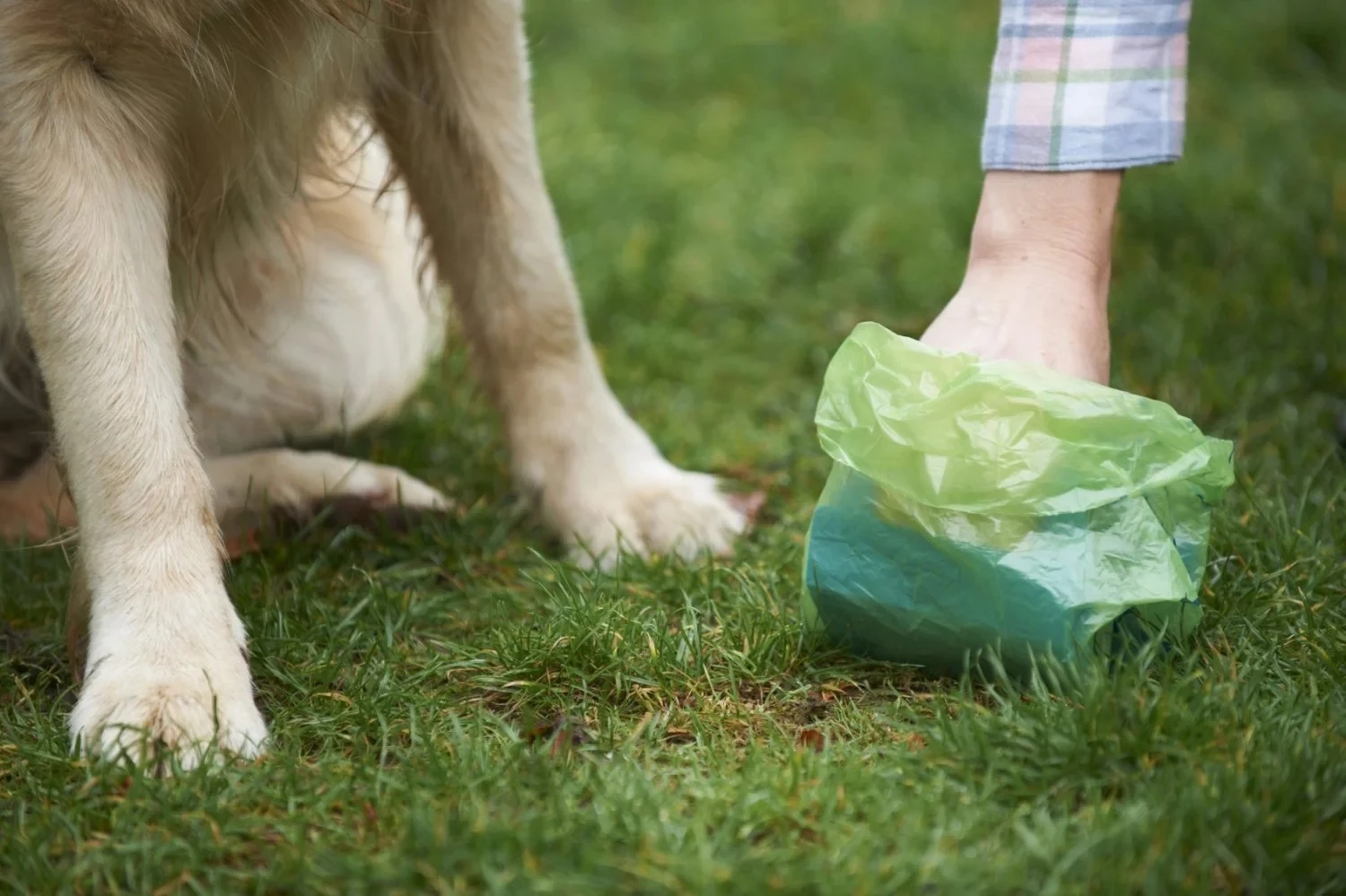 Fully Degradable Compostable Poop Garbage Bag Disposable Pet Dog Waste