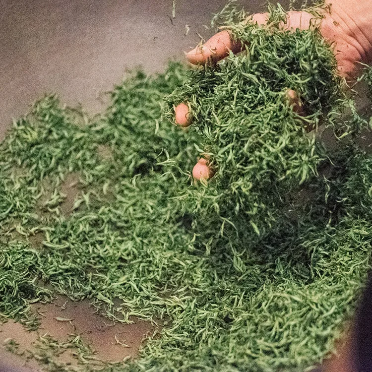 Selected Chinese Tea Gift Organic Bi Luo Chun GreenTea Biluochun pi lo chun - 4uTea | 4uTea.com