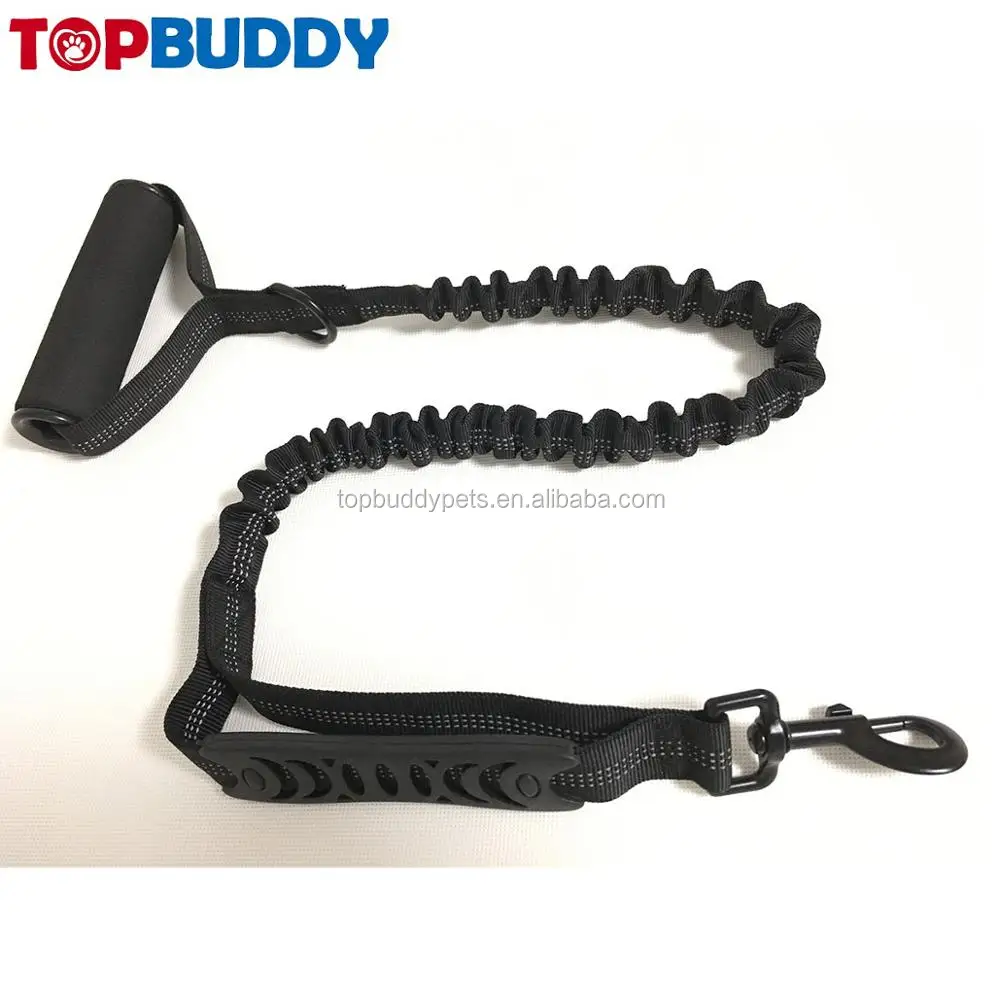 bungee leash
