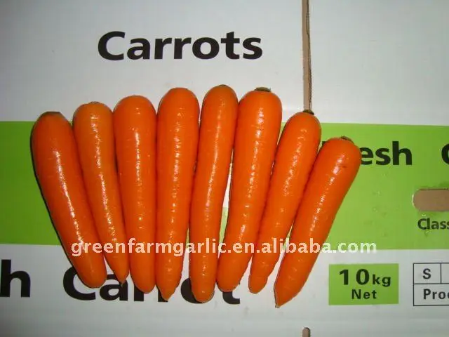 Fresh-Carrot