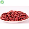 wholesale cook dried small dried red kidney beans
