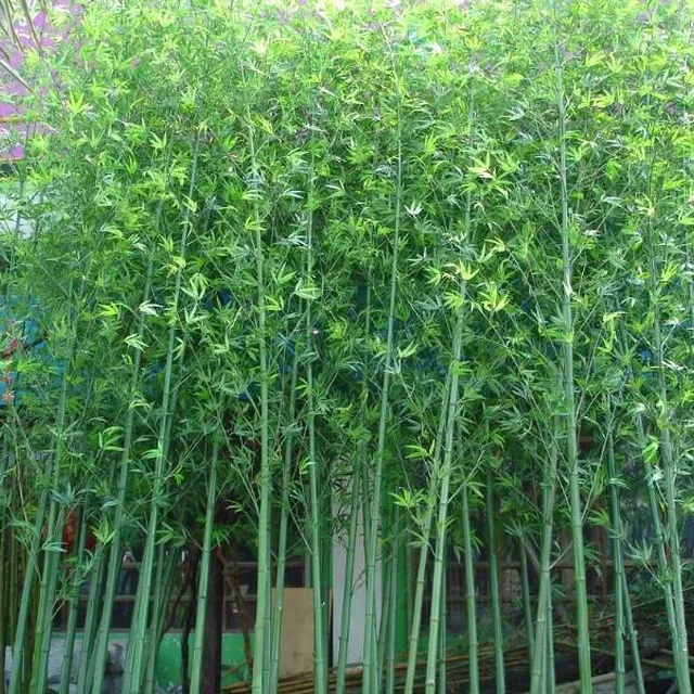 the good quality evergreen leaf artificial outdoor bamboo tree