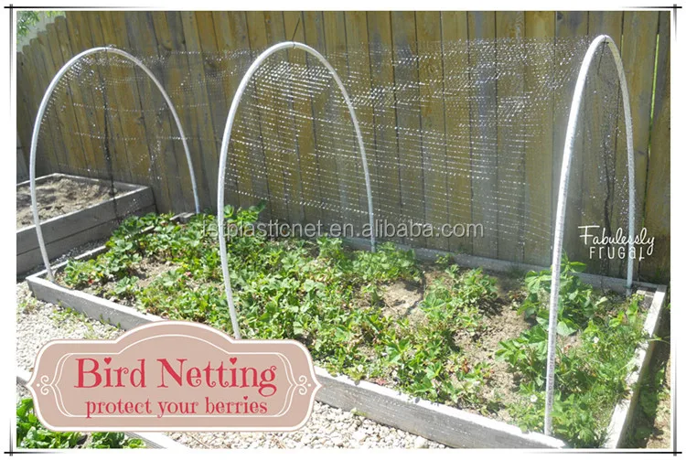Bird-netting in cage style.jpg