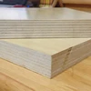 chinese pine laminated marine concrete form 4x8 plywood 25mm