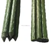/product-detail/support-for-vegetables-green-pe-coated-plant-stick-60416869184.html