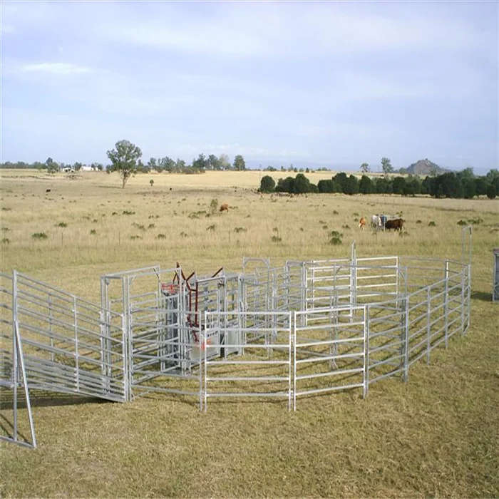 Galvanized 1 8x2 1m Calf Creep Feeder Panels Buy Calf Creep