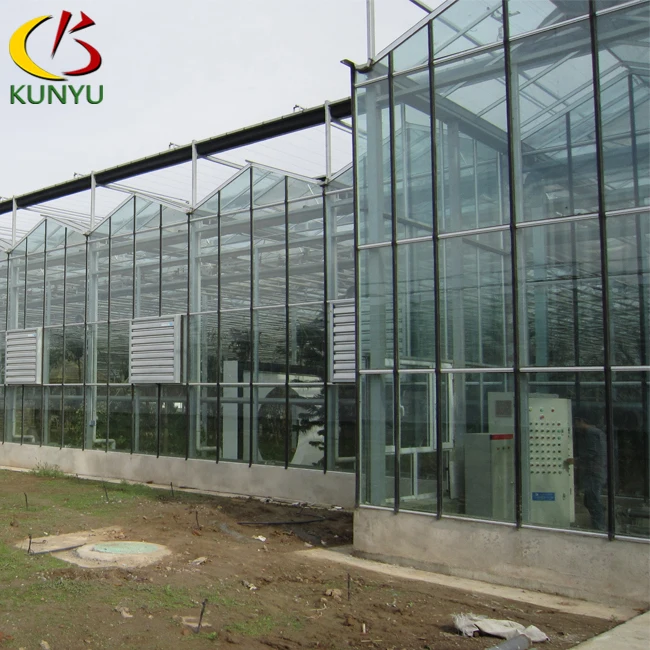 Sawtooth Type Commercial Greenhouse For Sale,Industrial Greenhouse