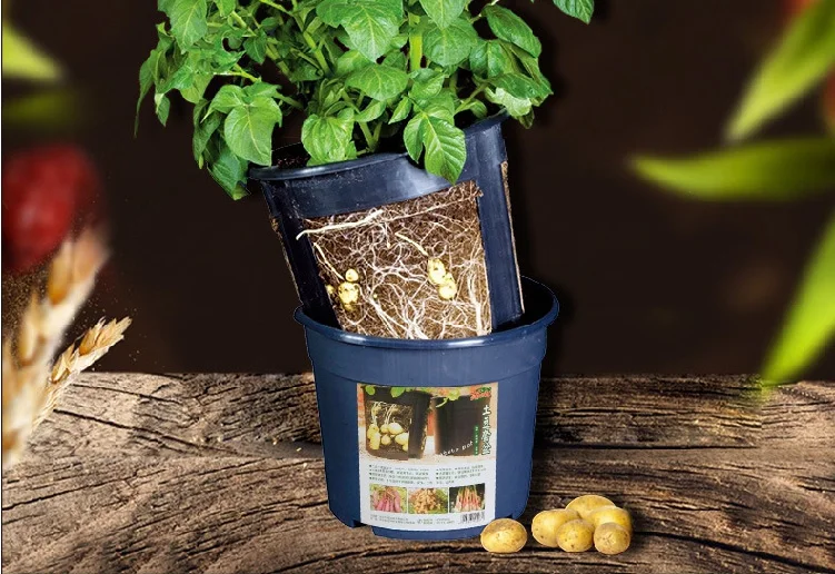 hydroponic system grow kit