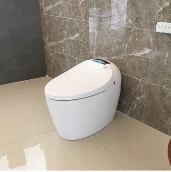 Sanitary Ware Toilet Seat Biidet 
