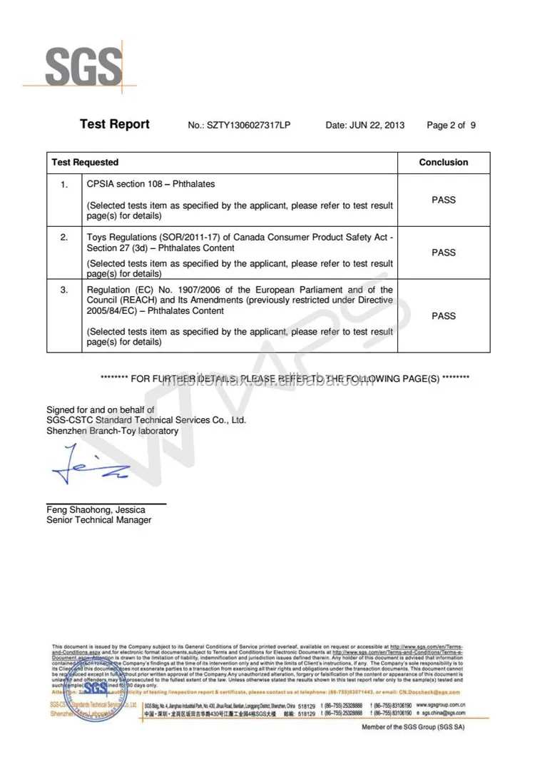 custom googly eye, wiggle eye, craft moving eye