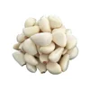 /product-detail/peeled-garlic-801361269.html