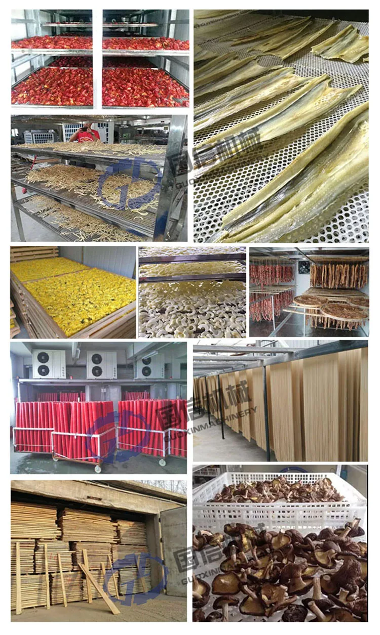 Saving power commercial used vegetable drying machine / onion / ginger /garlic dehydrator