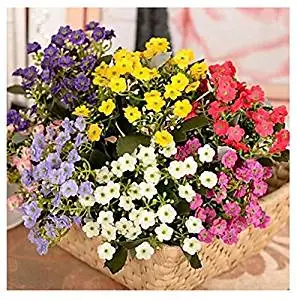 Artificial Flowers Arrangements for the Home, 11.1"l Set of 1 Cozy Orchid Silk Cloth Artificial Flowers Living Room, Artificial Flowers Look Real (1, Plum)
