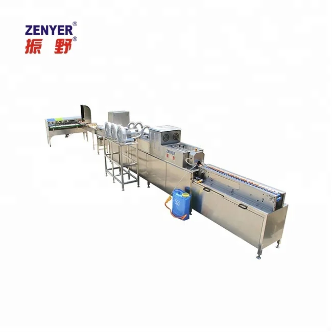
chicken farm egg cleaning grading processing machine 