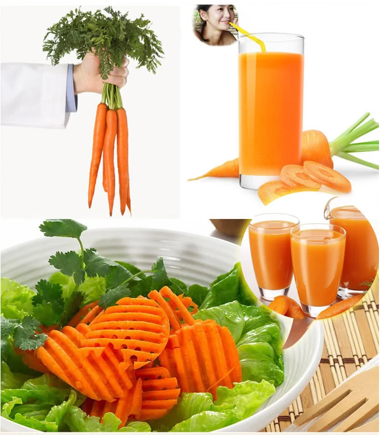 louis vuitton carrot price