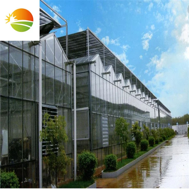 中国供应商高品质玻璃温室