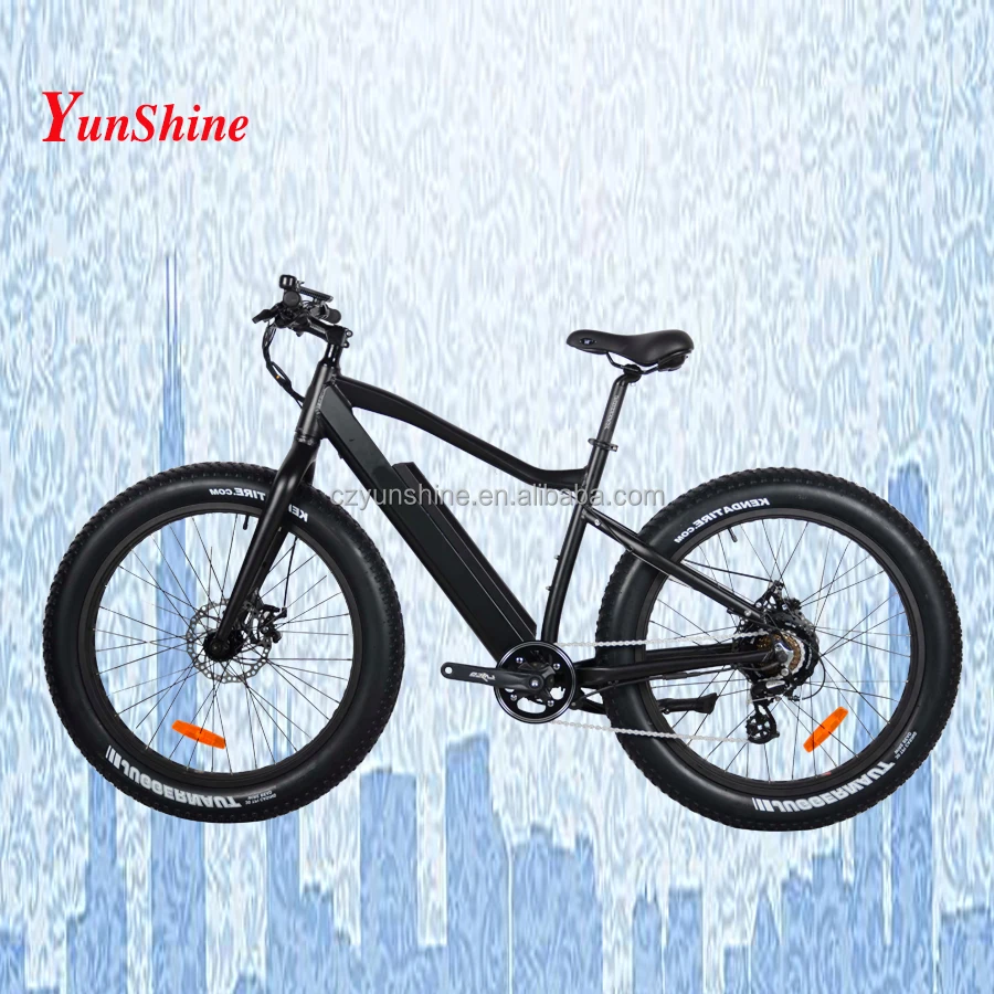 flyer beach cruiser