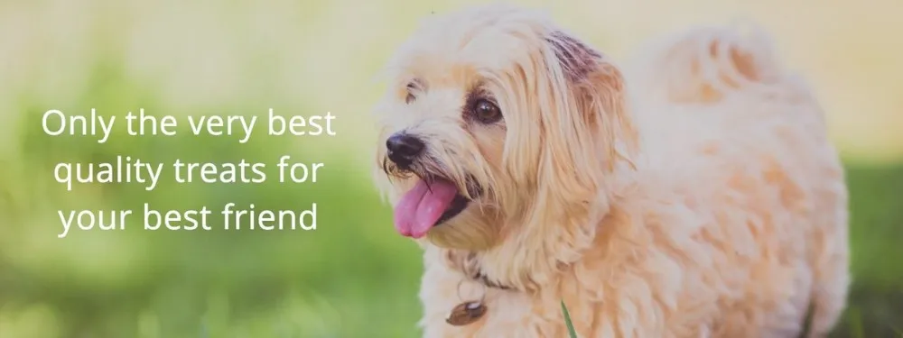 批发干散装狗宠物食品