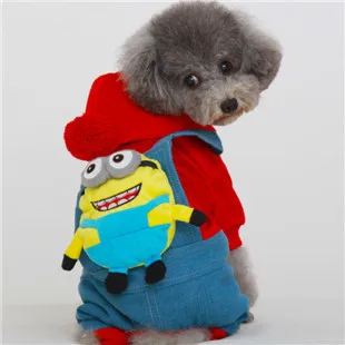 vetements pour chiens pas cher