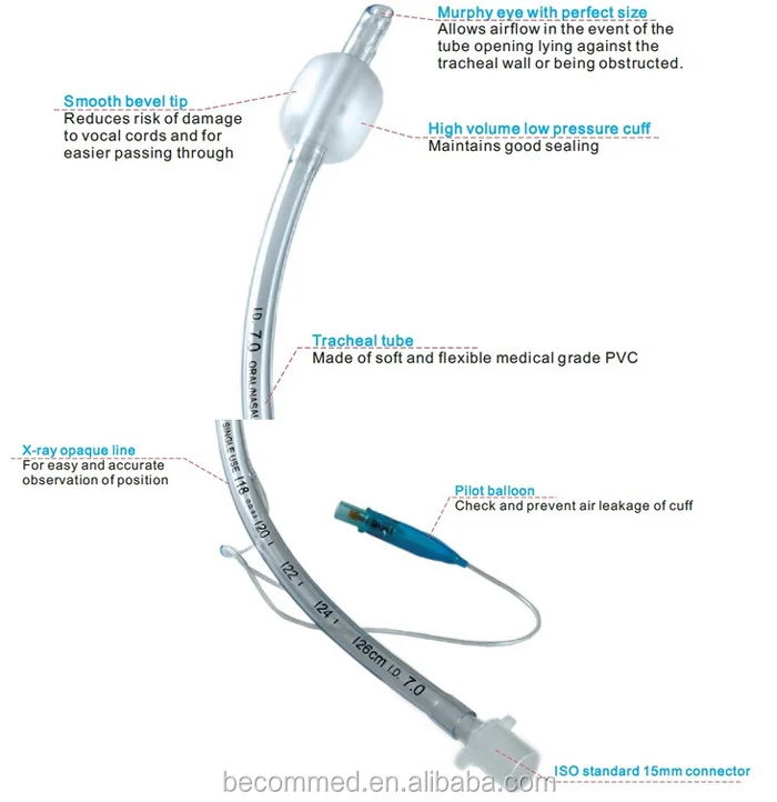 Parts Of Endotracheal Tube