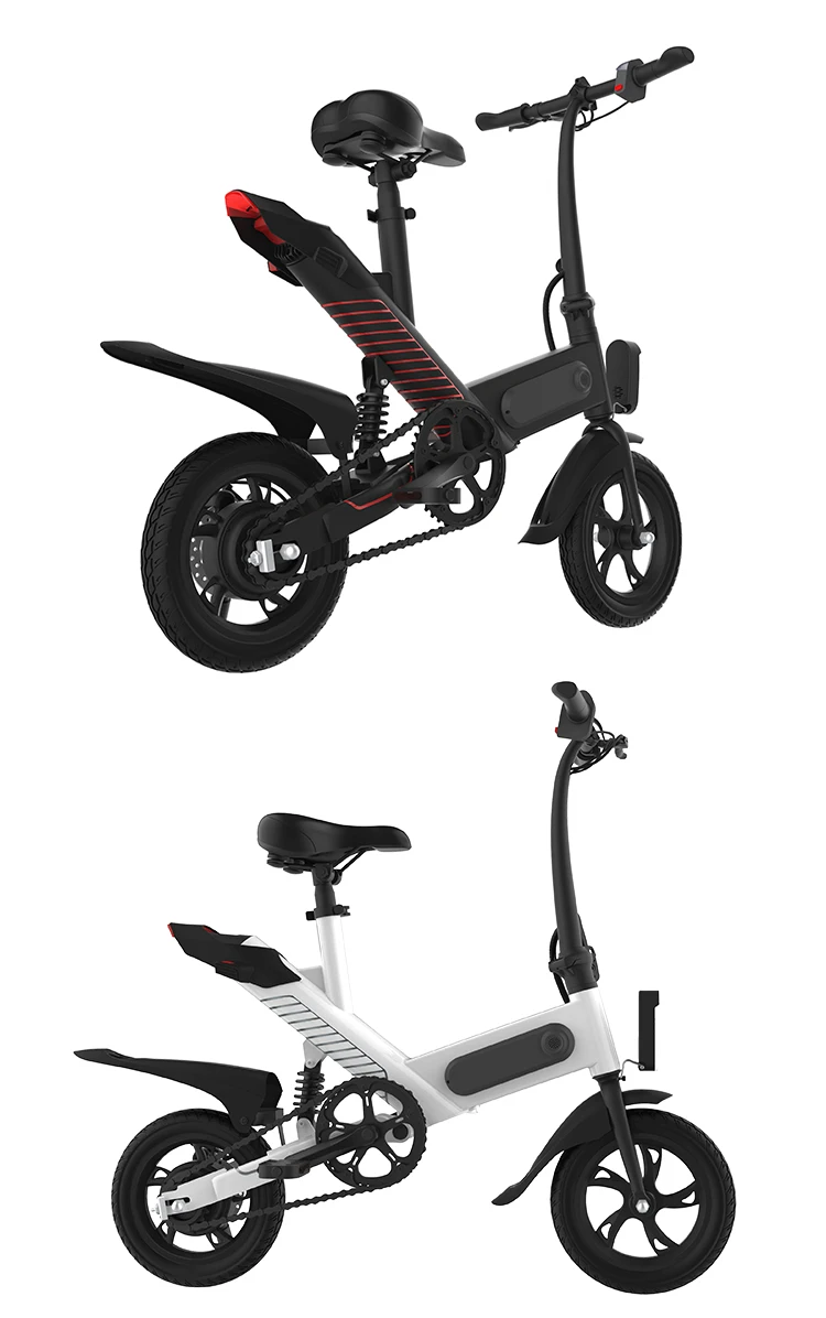 Small Folding Electric Bike