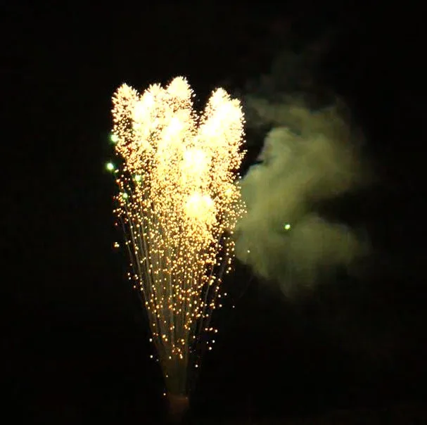 Buy Sqs Fireworks 802 Roman Candle 0.8 Inch 8 Shots Roman Candle