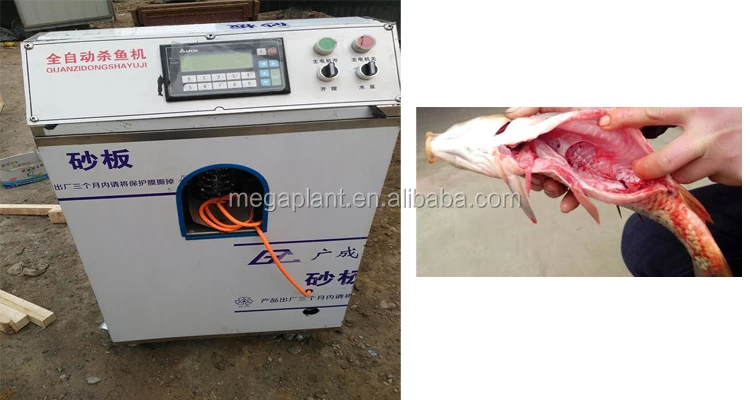 Fish Meat Exacting Machine /fish Bone And Meat Separating Machine/ Fish Bone Remover