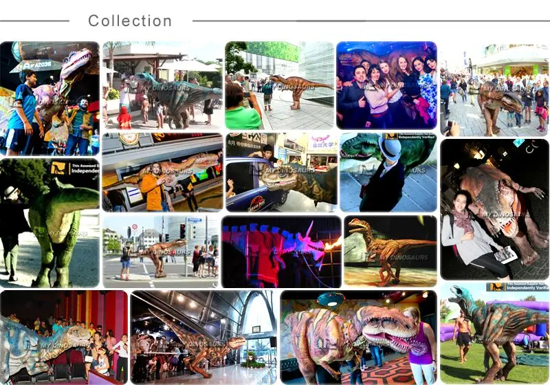 successful cases.jpg