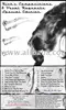 Music Composition CDs