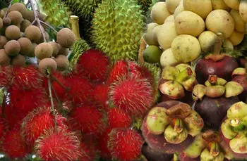 Unduh 5700 Gambar Durian Rambutan Keren 