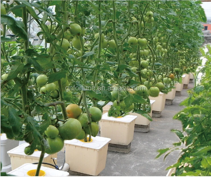 Planting Pots Black Dutch Buckets For Hydroponic Bato Buckets Buy