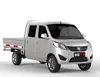 /product-detail/double-cab-1-3-ton-mini-truck-type-1-2-1-5l-gasoline-engine-pick-up-mini-truck-60696915653.html