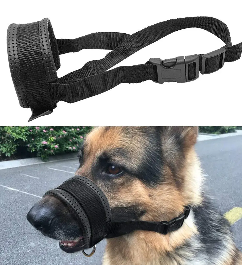 Cheap Muzzle For Dogs Chewing, find 