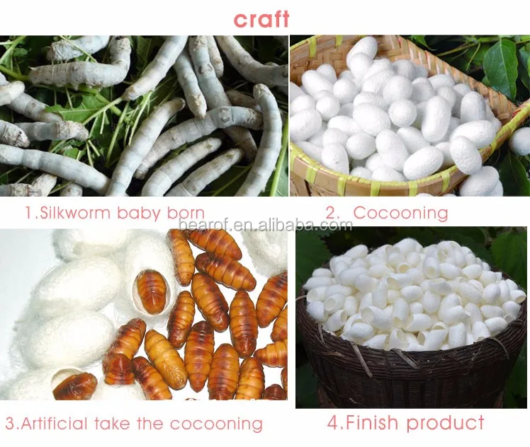 wash face silkworm cocoon