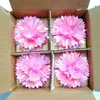 4'' Gift star bow/Shell pink fancy pull bows
