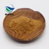 100% Water Soluble Yerba Mate Extract Powder,Yerba Mate Powder,Mate Powder