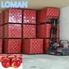 Apple Cold Room Project with Pu panel and compressor units