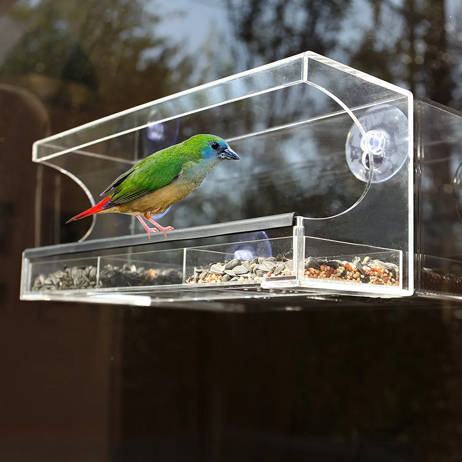 Perspex Bird Feeder Acrylic Wild Bird Window Feeder - Buy Wild Bird