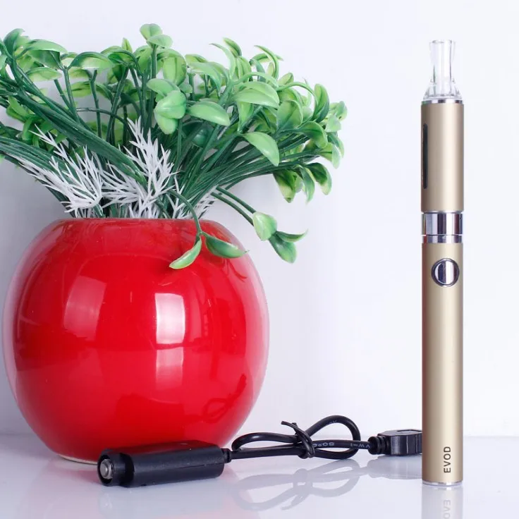 evod 006.JPG