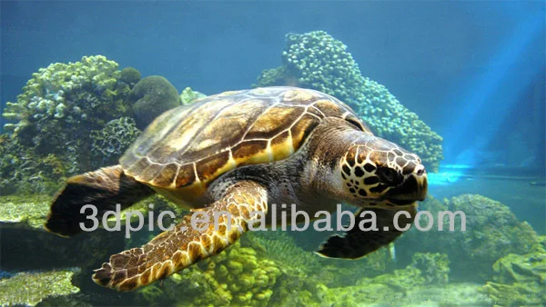 卸売カスタマイズアニメーション3dウミガメ画像 Buy 3dウミガメ画像 3d画像のウミガメ 3d海の動物写真 Product On Alibaba Com
